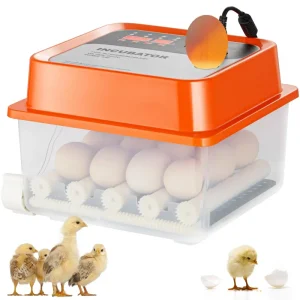 Egg Incubator