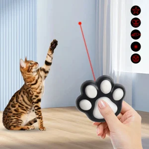 Rechargeable  Laser Toy With Flashlight